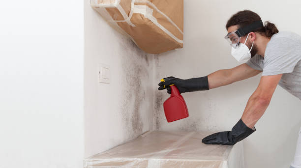 Professional Attic Mold Remediation technician working in Chesterfield, NJ