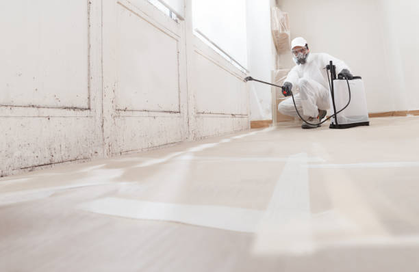 24/7 Emergency Attic Mold Remediation experts in Chesterfield, NJ