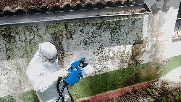 Top rated local Attic Mold Remediation specialists in Chesterfield, NJ